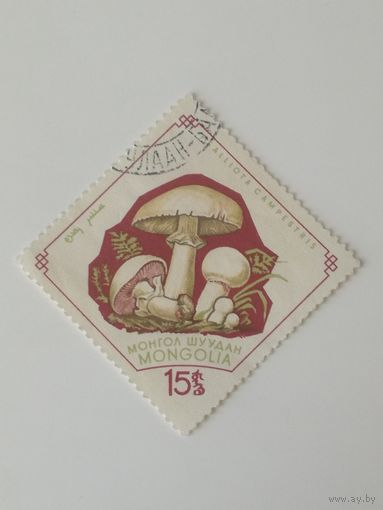 Монголия 1964. Грибы