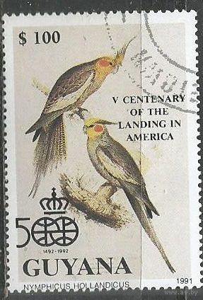 Гайана. Птицы. Большая питанга. 1990г. Mi#3002.