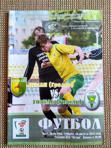 Неман-Гомель-2013