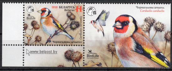 Беларусь 2018. Птица года. 1 марка+купон (943)
