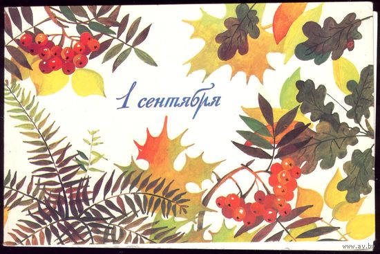 1987 год Т.Варламова 1 сентября