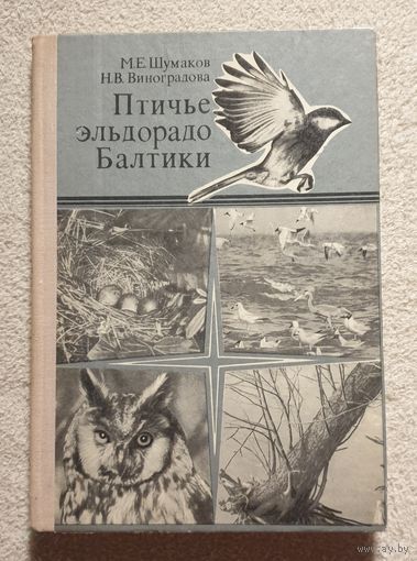 Птичье эльдорадо Балтики | М.Е. Шумаков Н.В. Виноградова | Птицы | Природа
