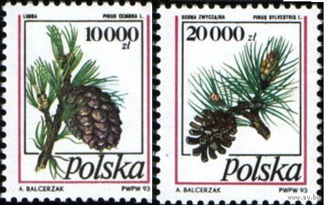 Польша Флора 1993 Хвойных Шишек **