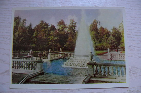 Петродворец. Фонтаны; 1964, чистая (размер 10*15).