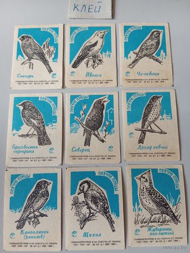 .Спичечные этикетки ф.Ревпуть. Берегите птиц. 1966 год