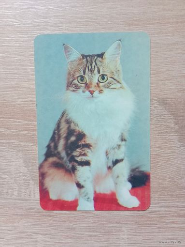 Календарик 1992