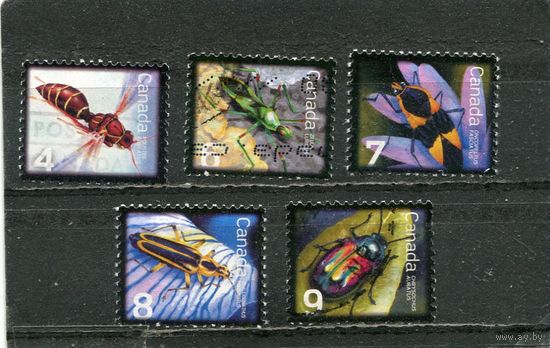 Канада. Фауна. Насекомые