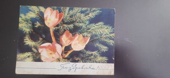 СССР. Поздравляю! 1970г. подписана