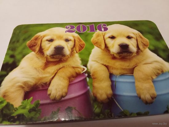 Календарик 2016г. Щенки