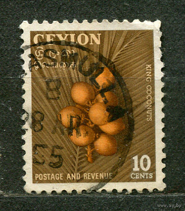 Кокосовые орехи. Цейлон. 1958