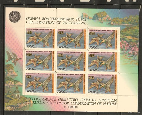 Россия-1995 ,  ** , Утки, м/л