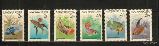 Венгрия-1987(Мих.3877-3882) , **    , Фауна, Рыбы, (полная серия)