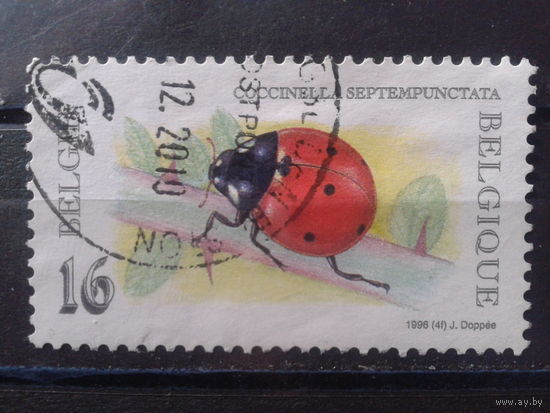 Бельгия 1996 Божья коровка