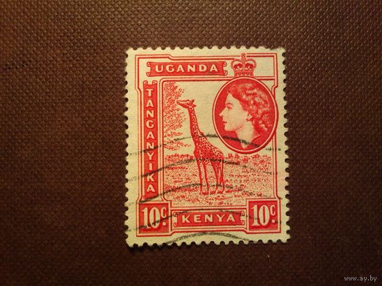 Британская колония Кения , Уганда, Танганьика 1954 г.Королева Елизавета II и жираф./30а/
