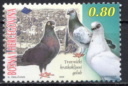 Босния и Герцеговина 1999. Голуби 1 марка 162