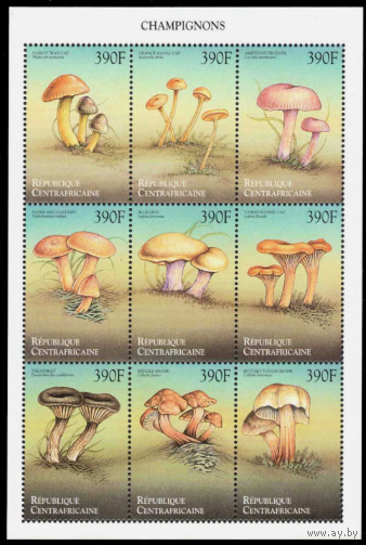 ЦАР Центральная Африканская Республика 1999 Грибы MNH