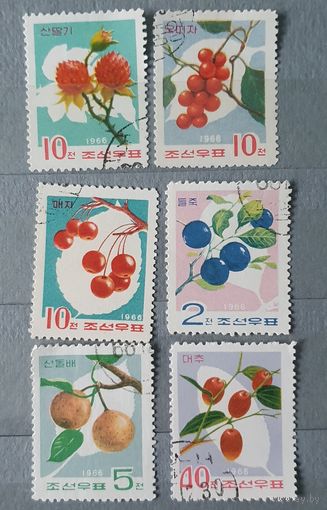 КНДР фрукты 6шт