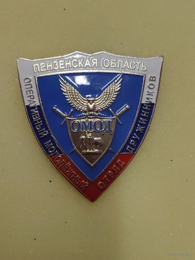 Оперативный молодежный отряд дружинников. Пензенская обл.