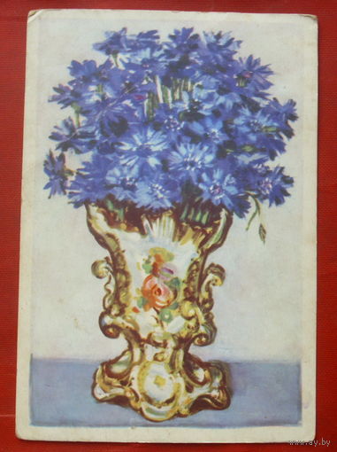 МОНИКА ЖЕРОМСКА. Васильки. Польша для СССР. Цветы. Чистая. 413.