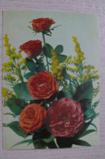 Дергилев И., Розы, 1990, чистая.