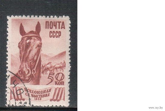 СССР-1939, (Заг.597)  гаш. (с клеем), Сельхозвыставка , Лошади