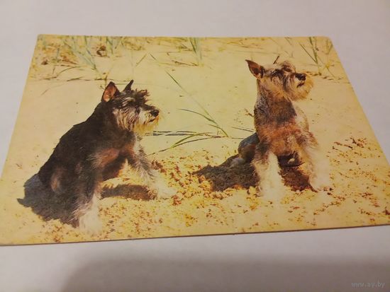 Календарик 1991г.