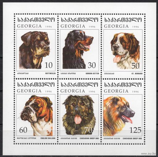 Грузия 1997. Фауна. Собаки. Малый лист (34)