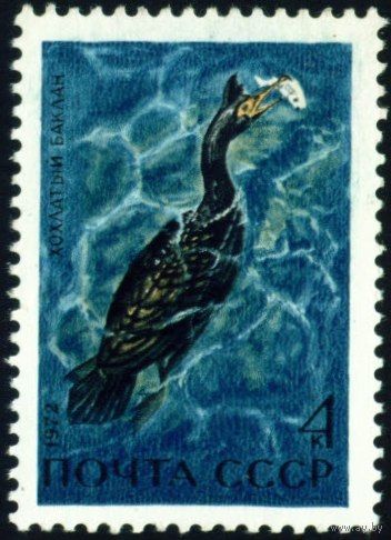 Водоплавающие птицы СССР 1972 год 1 марка