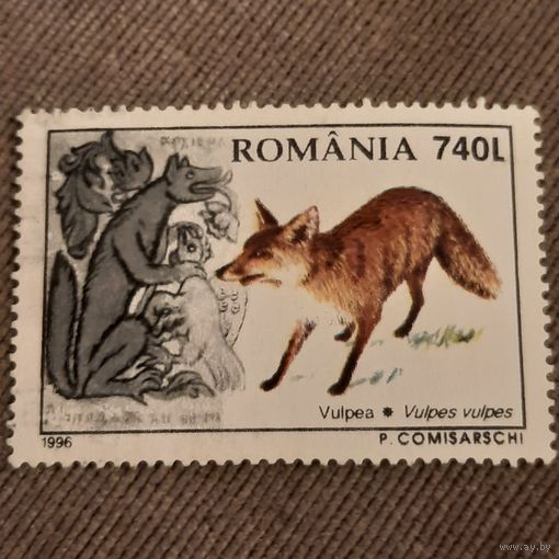Румыния 1996. Фауна. Лисица. Vulpea