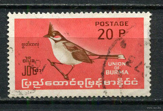 Бирма (Мьянма) - 1968 - Птицы 20Р - (есть тонкое место) - [Mi.204] - 1 марка. Гашеная.  (Лот 3JE)-TG2P5