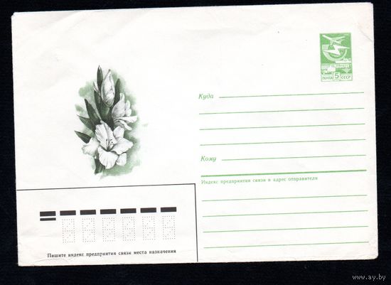 Художественный маркированный конверт СССР N 86-376 (04.08.1986) Рисунок цветов гладиолуса