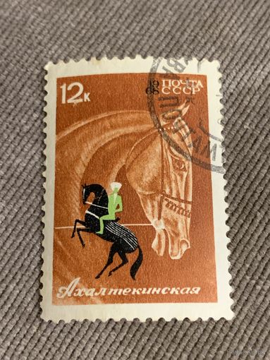 СССР 1968. Породы лошадей. Ахалтекинская. Марка из серии