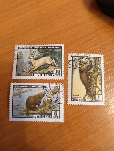 1961 СССР Загорский 2445-2447 фауна полная серия (с-9)