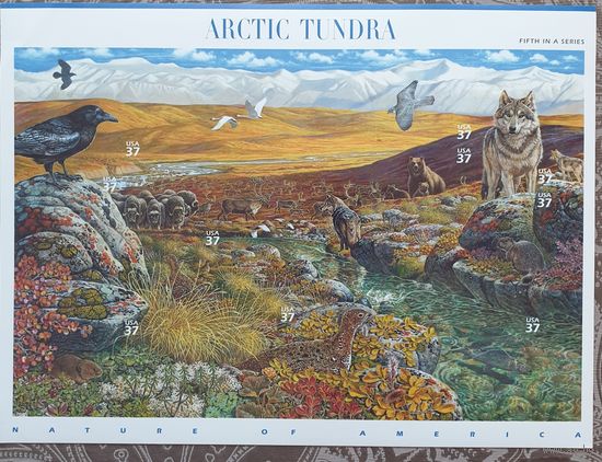 2003 Природа Америки-Арктическая тундра( самоклеющиеся) - США
