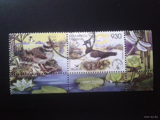 2006 Чибис с купоном