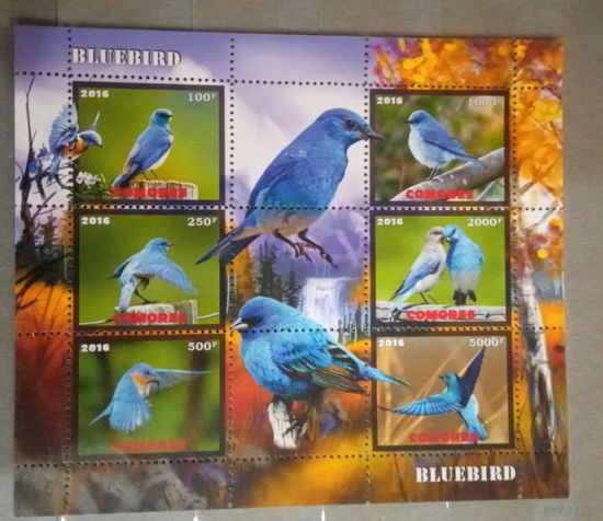 СЕРИЯ Блоков птицы   фауна  MNH