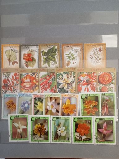 Флора сборный куба 4 серии