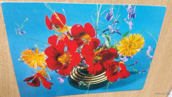 Открытка. Красные и желтые на синем.1976 год