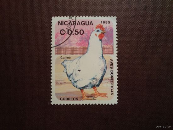 Никарагуа 1985 г.Домашние животные.Курица./48а/