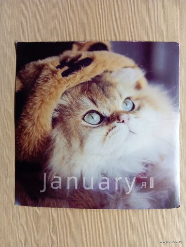 О-12. ПОДПИСАННАЯ ОТКРЫТКА СДЕЛАННАЯ ИЗ КАЛЕНДАРЯ. КИТАЙ. КОТ.