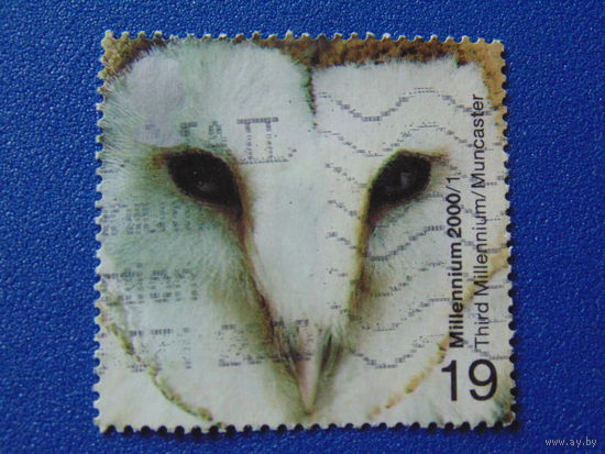 Великобритания 2000 г. Сова.