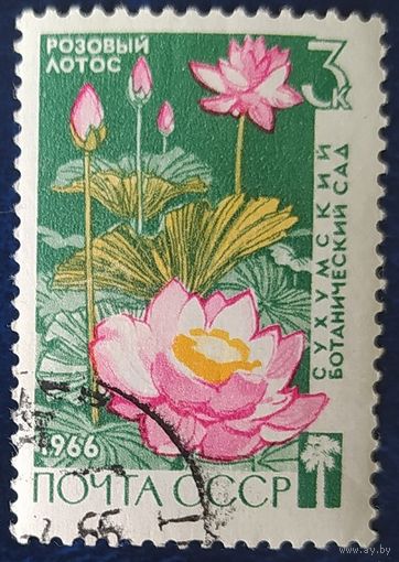 СССР 1966 Сухумский ботанический сад, цветы 1 из 3.