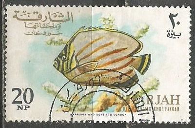 Шарджа. Рыбы. Разукрашенная бабочка. 1966г. Mi#233.