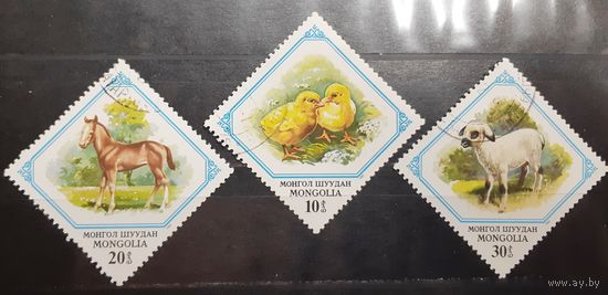 Монголия. Фауна (598)