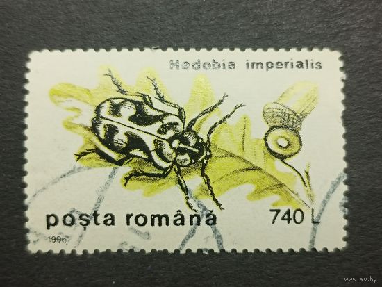 Румыния 1996. Насекомые - Жуки. Птиноморфус императорский