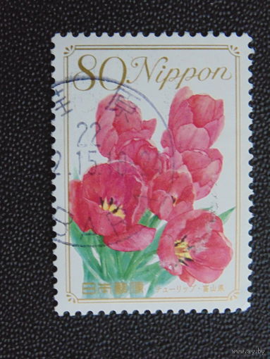 Япония. Цветы.