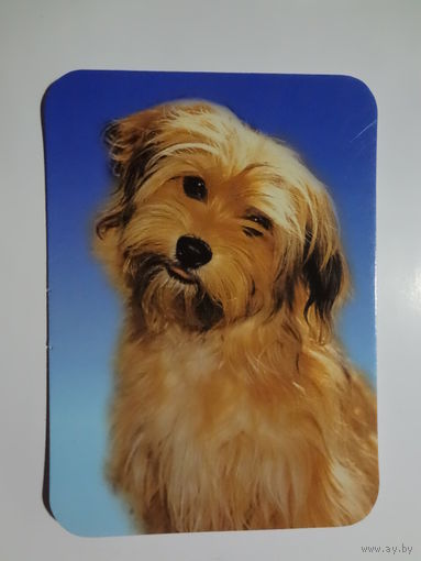 Календарик 2000 г. Собачка.