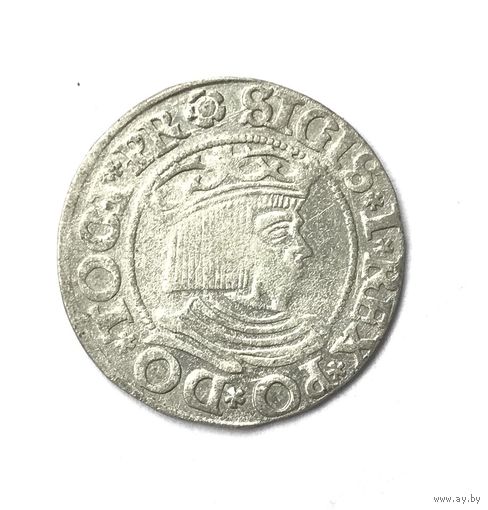 Грош 1534 года - Сигизмунд I Старый - Королевство Польское - Распродажа! Смотрите другие мои лоты!
