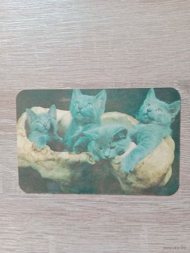 Календарик 1991