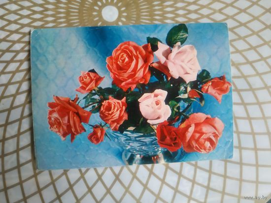 Открытка СССР 1977 год.   Чистая. Б.Куцко . Состояние на скане.